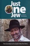 book_cover_-_just_one_jew1
