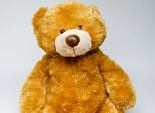 teddy-bear1