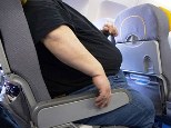 fat-person-plane-seat