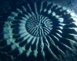 deep-sea-crop-circles