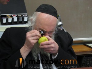 Rav Yisroel Belsky (175)