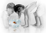 toddlers_and_fish2