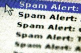 spam-alert