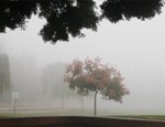 fog-at-ben-gurion