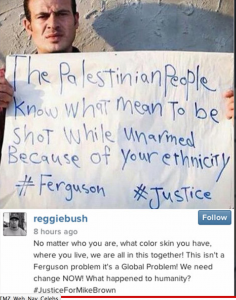 reggie-bush-palestinian