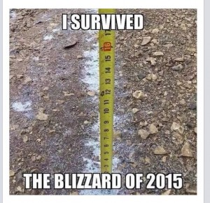 blizzard-of-15