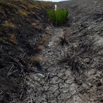 california-water-drought