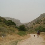 israel-national-trail