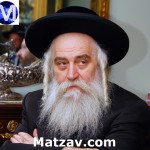 Mordechai Bezalel Klein 5