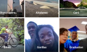 gorillas google