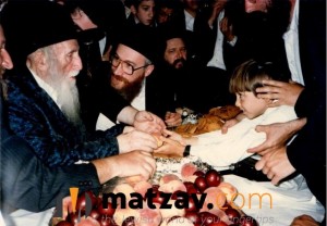 Rav Yisroel Belsky (242)