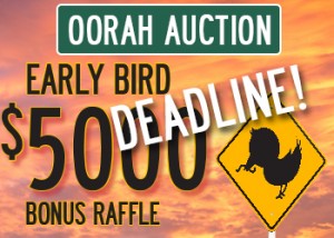 oorah auction