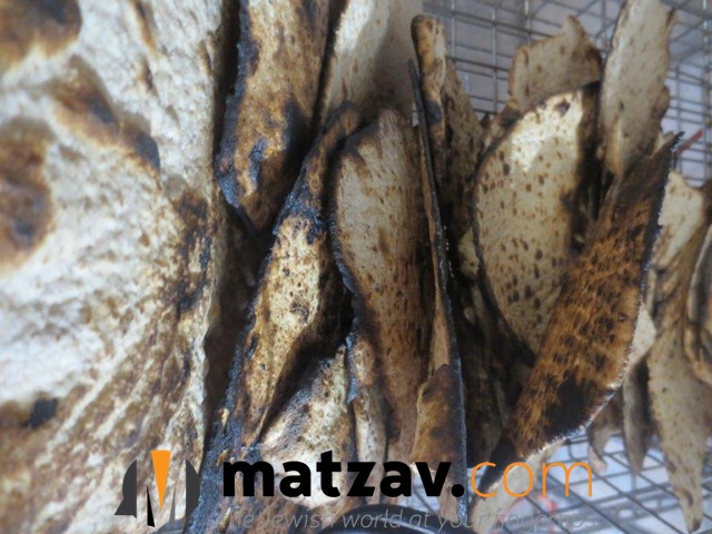 matzoh (4)
