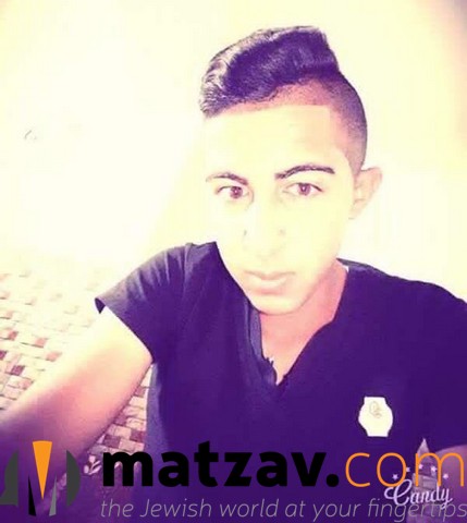 hallel yaffa ariel (12)