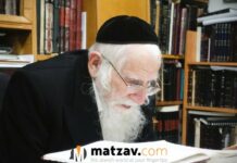 Rav Ezriel Auerbach Visits the United States