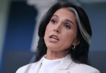 Gabbard Says Declassified Biolab Records Validate Concerns Previously Dismissed as Misinformation