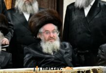 Historic First in Stolin: Rosh Hashanah Aliyos to Be Sold Through Digital Auction