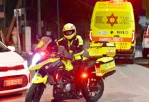 Israeli Family Vacation Turns Frightening as Young Children Hallucinate After Eating Mushroom-Laced Chocolate