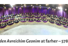 The Most Mehudar and Unique Yissachar Zevulun Pact Is at Shas Yiden – And Earns Almost 7 Million Mitzvos!