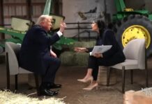 WATCH: Trump Storms Off Interview After Fiery Exchange With NBC Reporter Over 2020 Election
