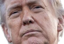 Reuters Poll: Trump Hits Record 33% Low in Approval