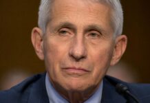 Sen. Paul, Gov. DeSantis Rip Fauci Over ABC COVID Role