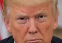 Trump: ‘Jihadists’ Being Elected ‘All Over the Place’