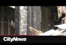 RESTAURANT BURNED: Suspicious Blaze Ravages Montreal Kosher Restaurant, Raising Fears of Antisemitic Arson