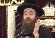 Sanz-Klausenburg Moreh Horaah Rav Tzvi Zev Berger zt”l