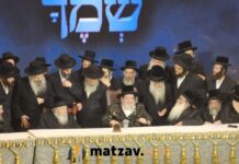 Vizhnitzer Rebbe Appears at Major “Mekadshei Shemecha” Maamad Despite Frail Health