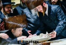 Belzer Rebbe Bentches Great-Grandson at Pidyon Haben Attended by Thousands