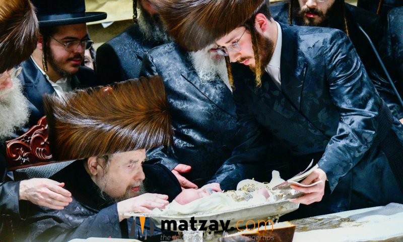 Belzer Rebbe Bentches Great-Grandson at Pidyon Haben Attended by Thousands
