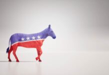 Democrats Will Kick Off 2028 Race in South Carolina and Nevada