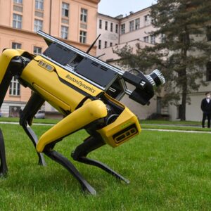 ICE Eyes $2 Million Purchase of Boston Dynamics Robot Dogs for Law Enforcement Operations