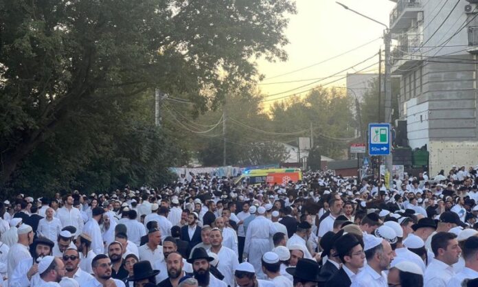 uman
