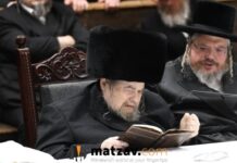 Belzer Rebbe Taken to Hadassah Hospital for Tests After Feeling Unwell
