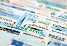 Massive Data Breach May Have Exposed Tens of Millions of U.S. and Canadian Driver’s Licenses
