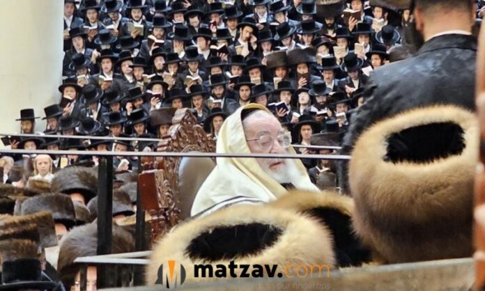 vizhnitz